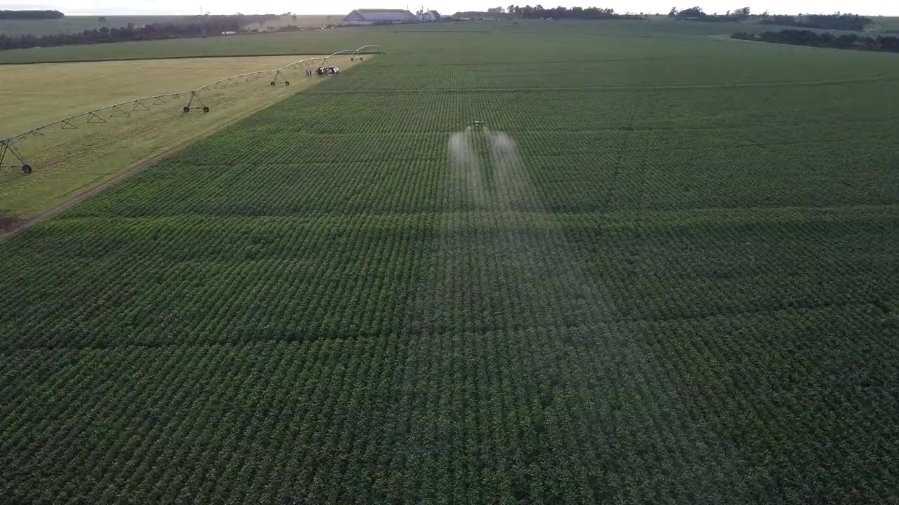 Dron pulverizando un lote